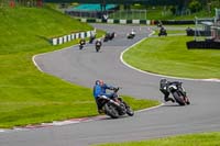 Lower Group Black Bikes